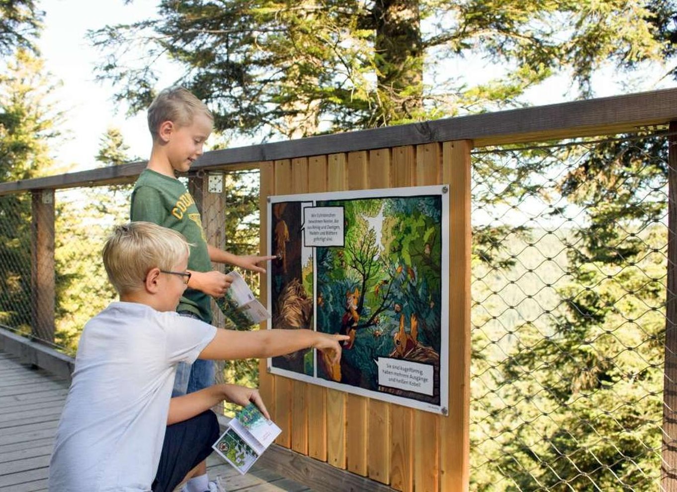 Schwarzwald: Treetop Walk & Lookout Tower Experience