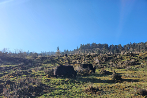 Kathmandu: 2-Day Hidden Trek to Tangu with Mountain Views