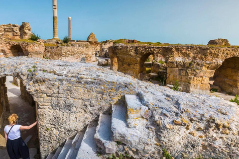 Carthage & Sidi Bou Said Day Trip: History and Blue Alleys Pick-up From Mahdia