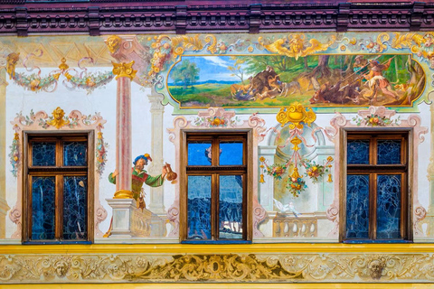 MINIVAN Dracula Castle, Peleș Castle & Old Center of Brașov Audio Guide 24 Languages