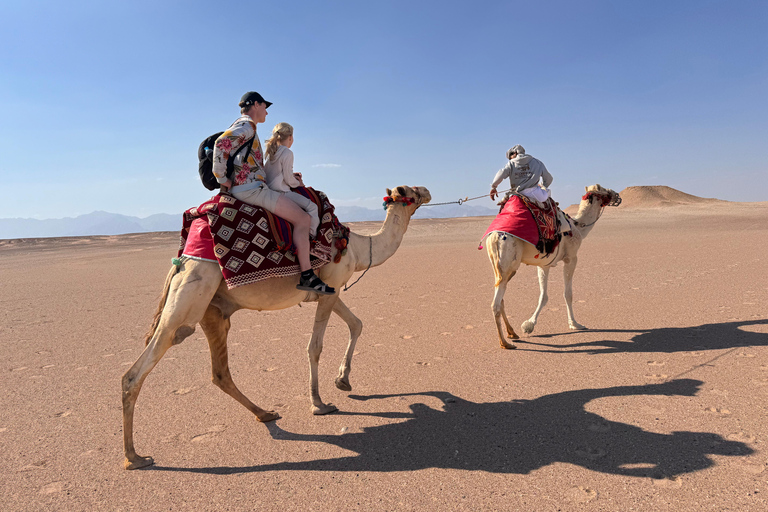 Hurghada: Camel Ride & horse ride and Off-Road Jeep Tour pickup from hotels inside hurghada