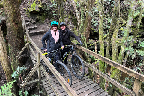 Depuis Hobart : Sommet du Mont Wellington et excursion à vélo dans la forêt tropicale