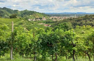 Prosecco-Hügel: Tagestour ab Venedig & Treviso, 2 Weingüter