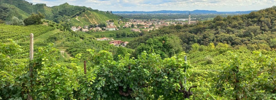 Excursion d'une journée dans les collines du Prosecco depuis Venise et Trévise : 2 caves