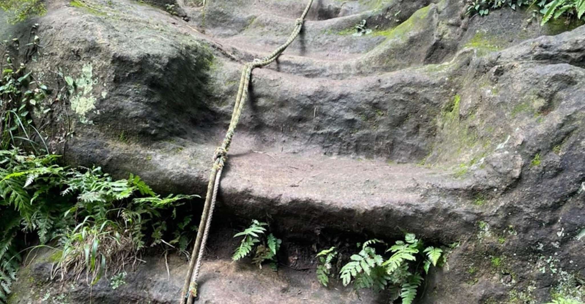 Kamakura, viaggio Zen - Housity