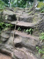 Kamakura, Zen Journey - Housity
