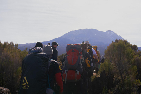 Moshi: Kilimanjaro Day Trip – Londorossi Gate hike to Shira