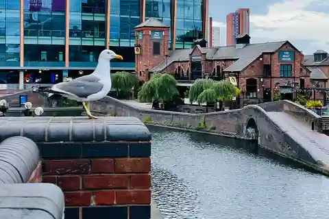 Birmingham Historical Tour