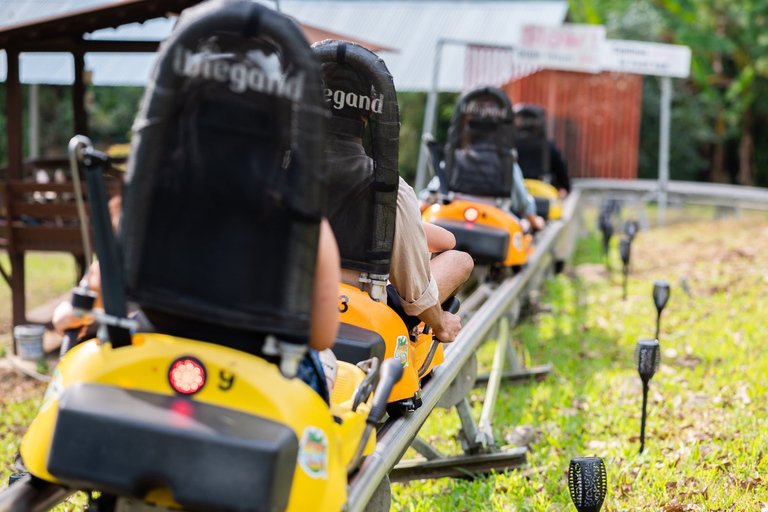 Chiang Mai: Pongyang Jungle Coaster and Zip Line Tour Package A + Transfer