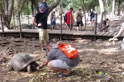 Zanzíbar: Excursión a Stone Town y la Isla de la Prisión con traslado