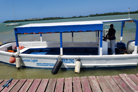 Falmouth: Luminous Lagoon Boat Tour Luminous Lagoon Boat Tour