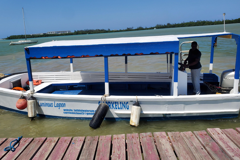 Falmouth: Luminous Lagoon Boat Tour Luminous Lagoon Boat Tour