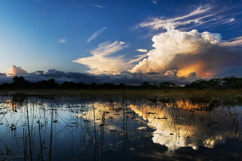 From Miami: Everglades Night Tour with Airboat Ride