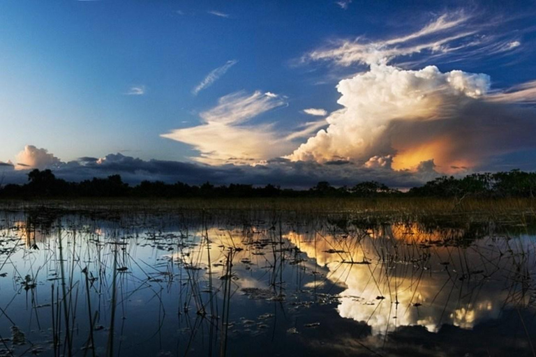 From Miami: Everglades Night Tour with Airboat Ride