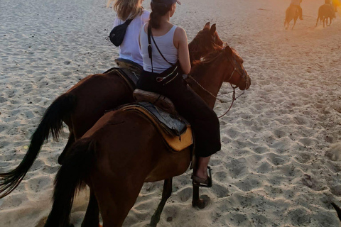 Sunset by Horse on the Beach