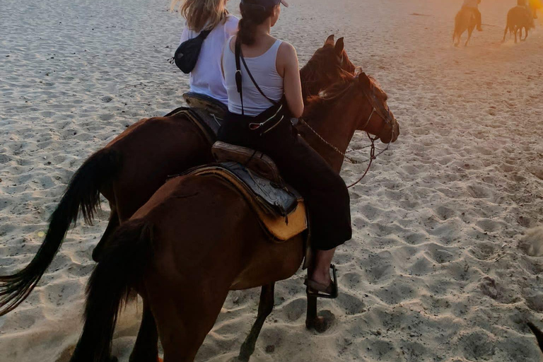 Sunset by Horse on the Beach