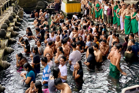 Escursione guidata alle terrazze di riso, alle cascate e ai templi di Ubud, Bali