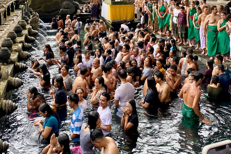 Ubud rice terrace, waterfall, and temple guided trip Bali