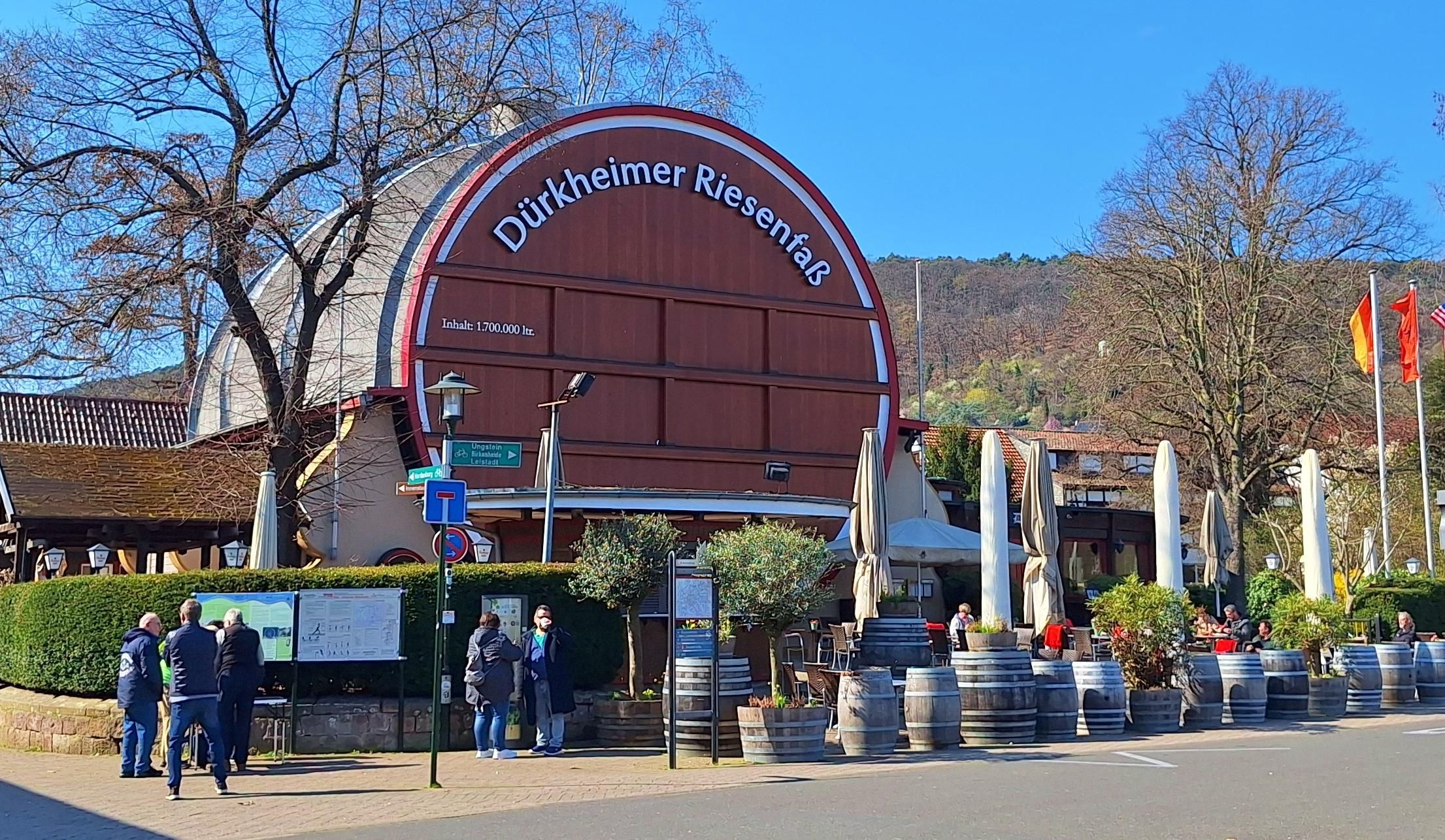 Heidelberg: Römer, Reben, Riesenfass - Natur & Wein Wandertour in der Pfalz