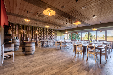 From Florence: Chianti Hills Half-Day Tour with Wine Tasting Winery Tour in Spanish