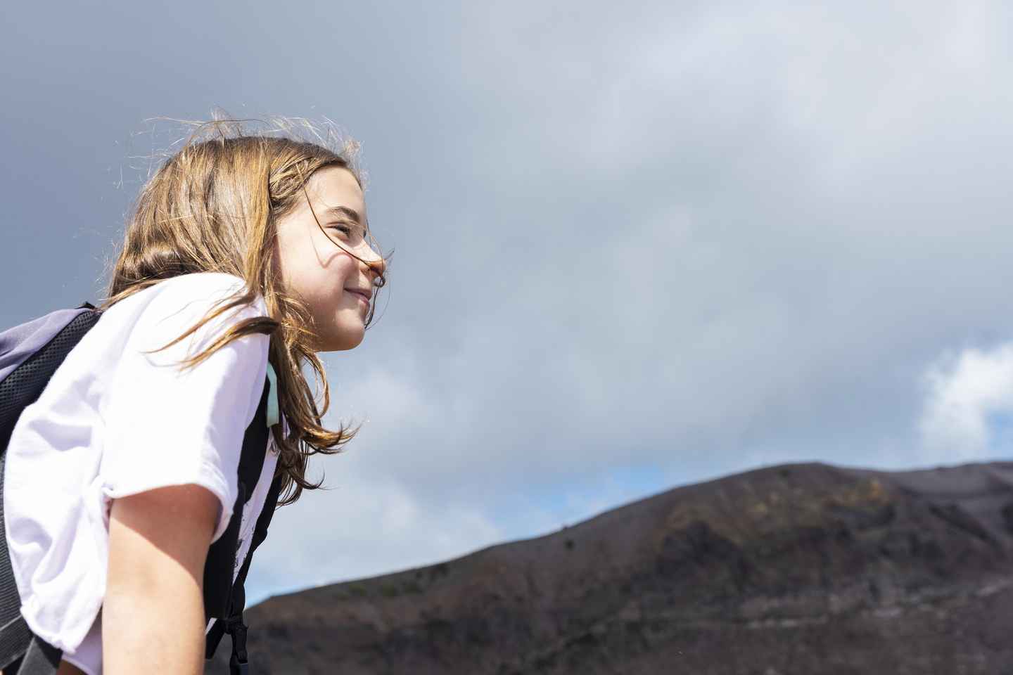 From Pompeii/Naples: Vesuvius Easy Transfer and Entry Ticket