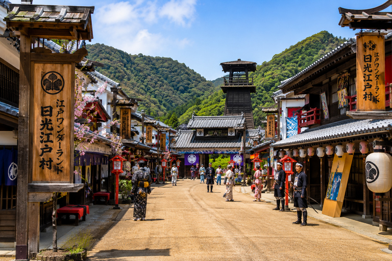 Tokyo: Nikko World Heritage & Nature Private Customized Tour
