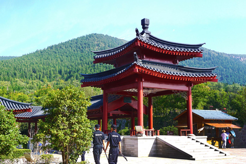 Tour privato: Grotte di Longmen, Tempio Shaolin e spettacolo di KungfuPick up da Zhengzhou: Guida in inglese Tour di un giorno tutto incluso