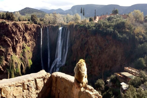 Marrakesh: Ouzoud Waterfalls Trip with Hike & Boat Option Full Day Trip To Ouzoud Waterfalls