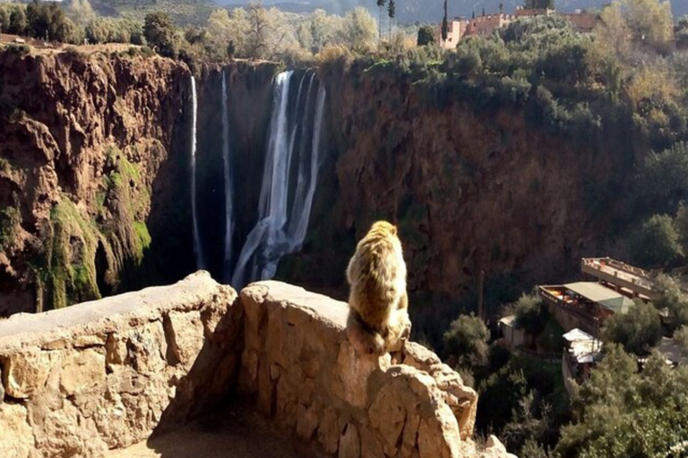 Marrakesh: Ouzoud Waterfalls Trip with Hike & Boat Option Full Day Trip To Ouzoud Waterfalls