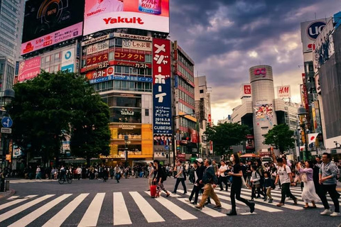 Tokyo Private Tour with English speaking driver Minivan (1-6)
