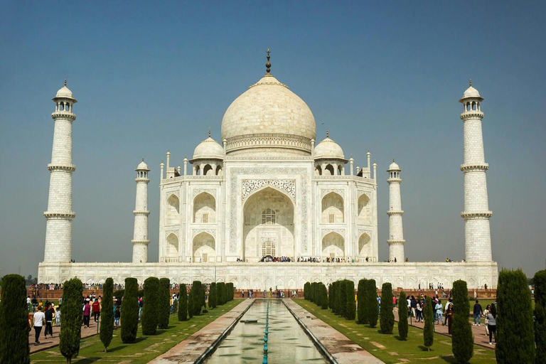 Agra: Tour dell&#039;alba del Taj Mahal con guidaPrenotazione della sola guida turistica