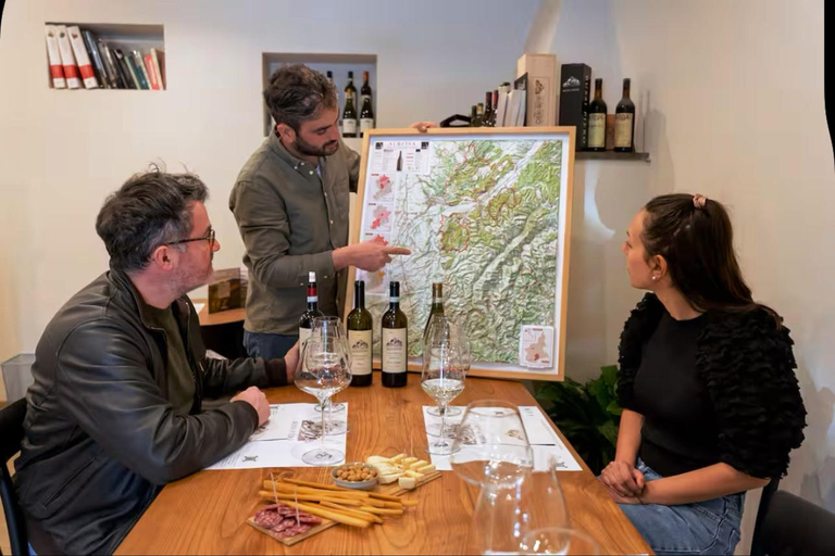 Langhe & Monferrato: Vineyard Tour and Wine Tasting