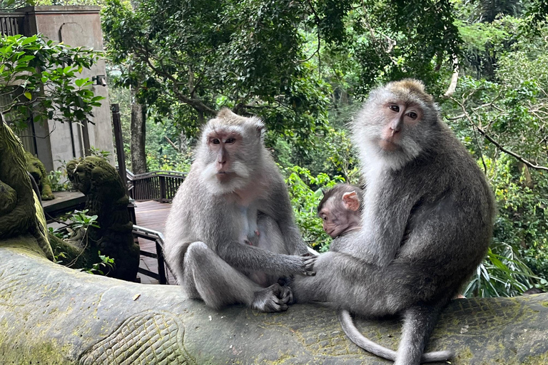 Bali: Batuan temple, Monkey Forest, Kato Lampo waterfall
