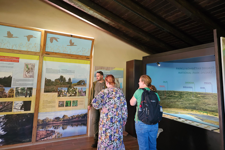 Från Durrës: Divjakë-Karavasta nationalpark dagsutflykt