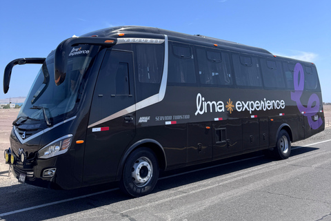 Paracas e Huacachina: Ilhas, Dune Buggy e Piquenique ao Pôr do SolParacas e Huacachina: Ilhas, Buggy nas Dunas e Piquenique ao Pôr do Sol