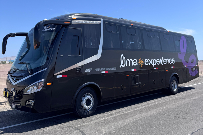 Paracas e Huacachina: Ilhas, Dune Buggy e Piquenique ao Pôr do SolParacas e Huacachina: Ilhas, Buggy nas Dunas e Piquenique ao Pôr do Sol