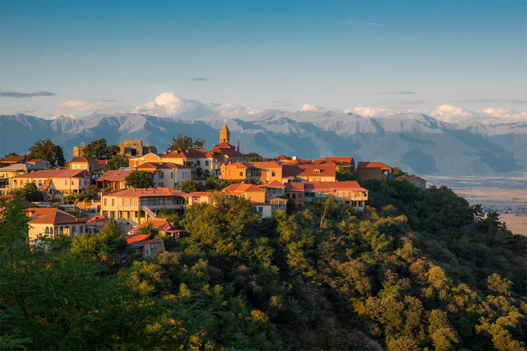 Depuis Tbilissi : Visite privée de KakhetiDepuis Tbilissi : Tour de Kakheti (RUS)