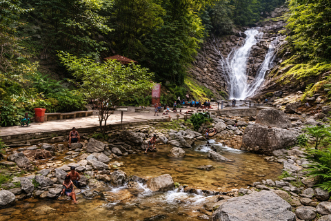 Cameron Highlands Private Day Trip from Kuala Lumpur