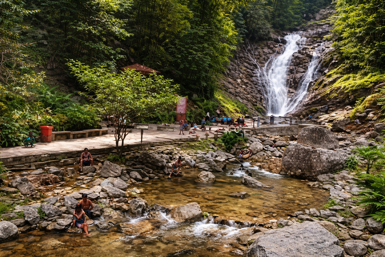Cameron Highlands Private Day Trip from Kuala Lumpur