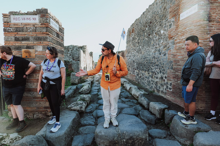 Sorrento: Pompeii & Mount Vesuvius Tour with Transfers