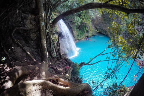 Kawasan Falls Canyoneering Tour from Maolboal