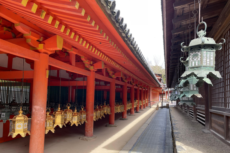 Nara: Halvdag med lokal guide – Big Buddha, hjort, helgedom, skogNara: Halvdag lokal guide- Stora Buddha, hjort, helgedom, skog