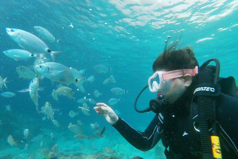 Fethiye: Full-Day Scuba Diving Adventure with Lunch