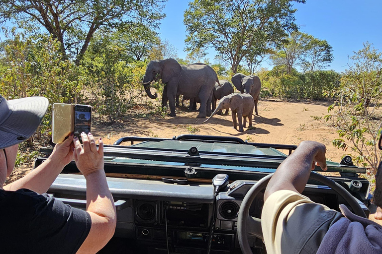 Rhino Game Drive - Mosi-oa-tunya National Park