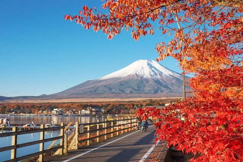 From Tokyo: Private Mount Fuji Tour With English Guide - Image 2