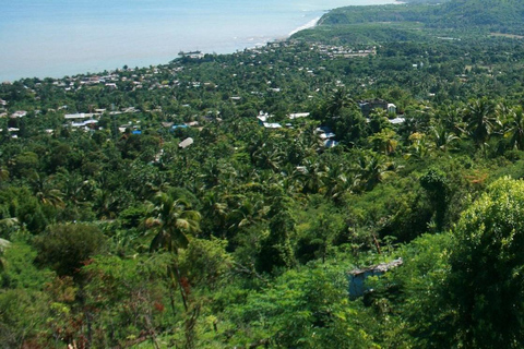 De Gili paddenstoel tours