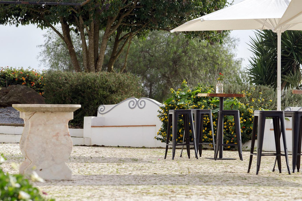 Estremoz, Alentejo, Portogallo: tour enologico e degustazione di vini