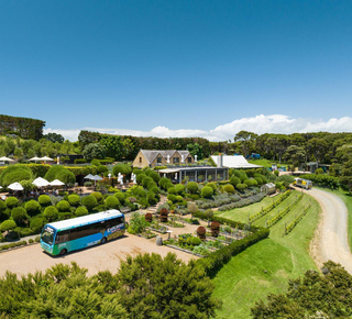 Île de Waiheke: Excursions à la journée depuis Auckland