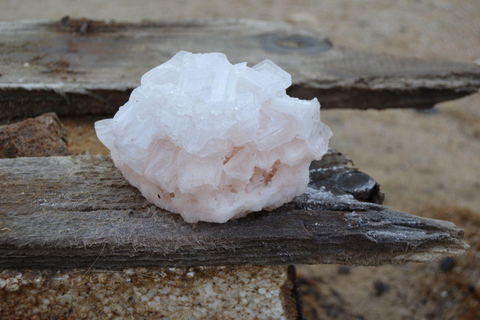 Côte des squelettes : visite guidée de Cape Cross et Henties BayCôte des squelettes : Cape Cross et Henties Bay - Visite guidée
