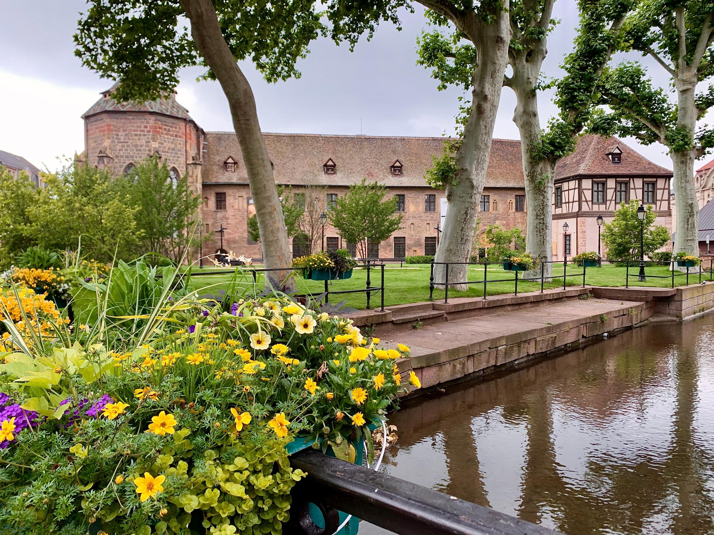 Colmar: Entdecke die Geheimnisse der Stadt mit einem lokalen Guide